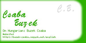 csaba buzek business card